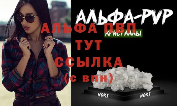 эйфоретик Бородино