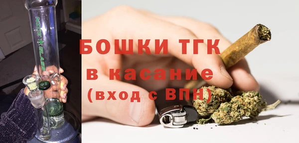 эйфоретик Бородино