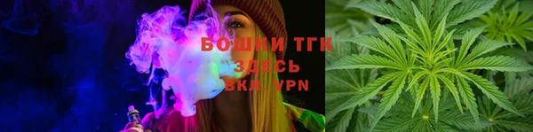 эйфоретик Бородино