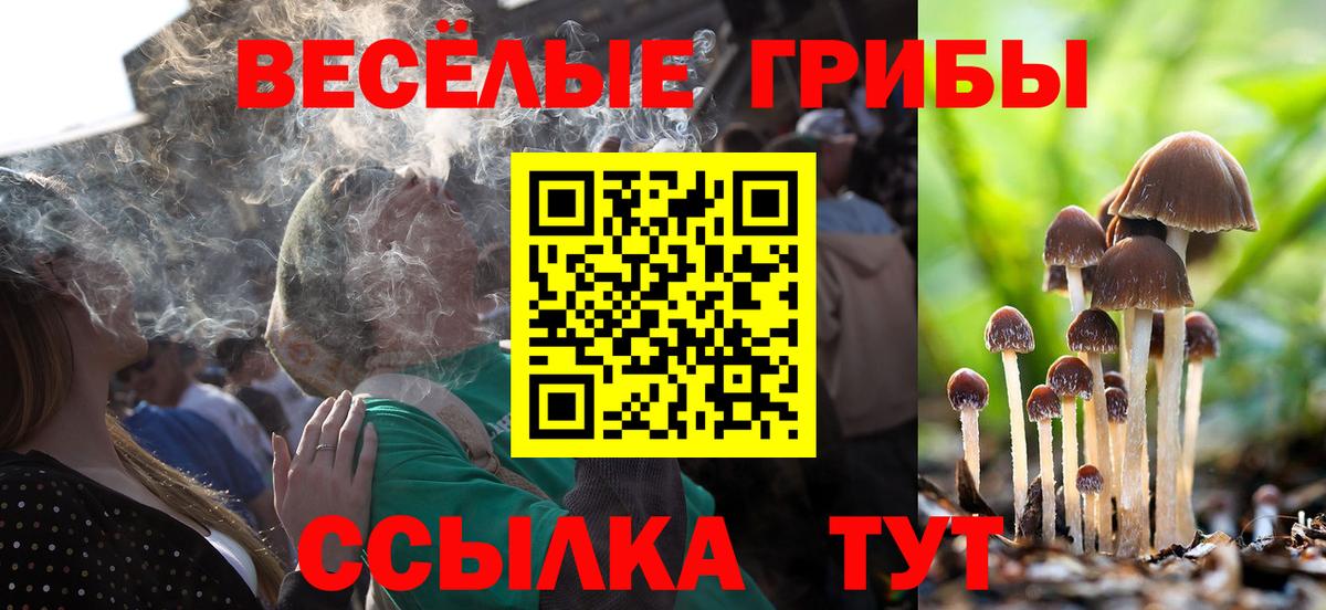 Псилоцибиновые грибы мухоморы  продажа наркотиков  Йошкар-Ола  Галлюциногенные грибы ЛСД  Вход с VPN 