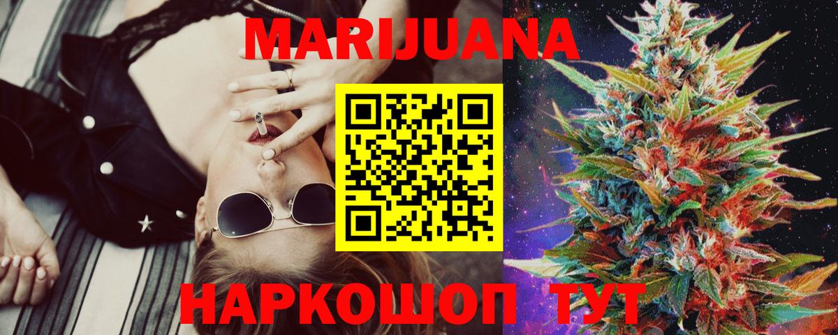 Канабис сатива Йошкар-Ола
